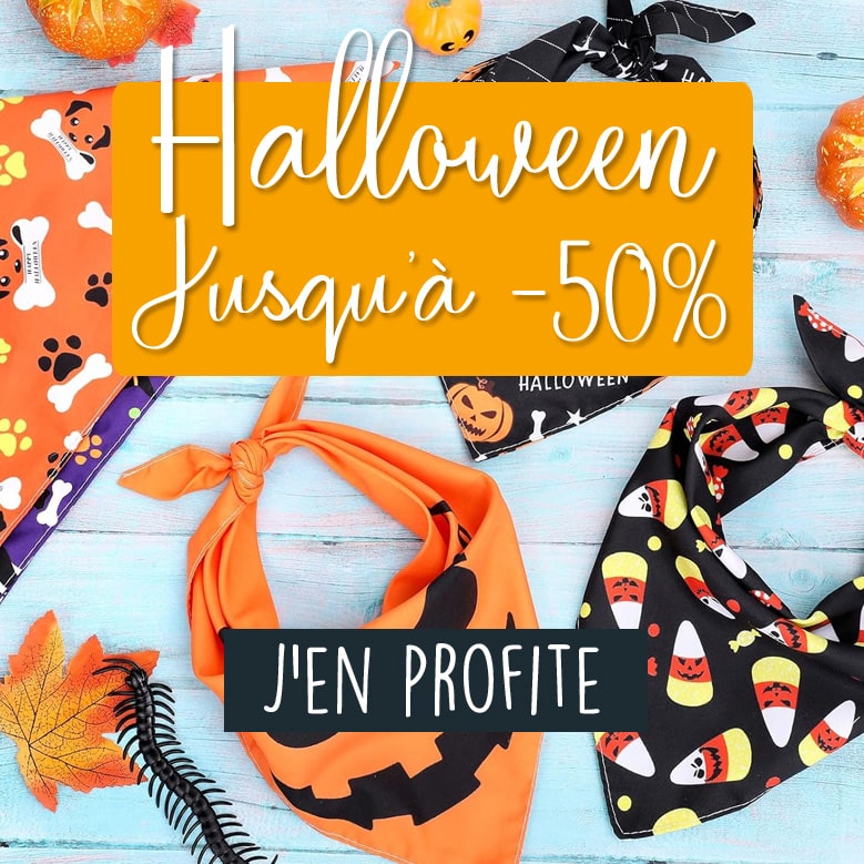 Halloween Promotions !