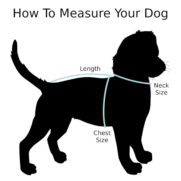 How to measure my animal ?