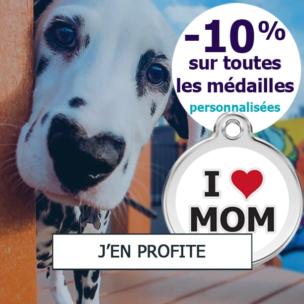 Médailles pour chiens en promotion