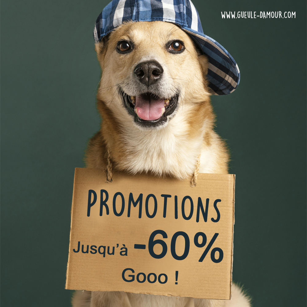 Promotions pour animaux
