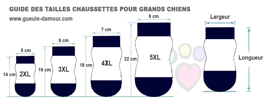 Guide des tailles de chaussettes pour grand chien: labrador, cocker, golden retriever, berger, boxer...